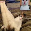 jessicababy221