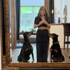 mydamndobermans