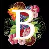 bosina.bosstany