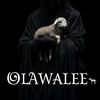 olawale1020