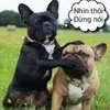 ktb_sdl