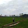 tutiwindiawati2