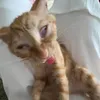 dthcutehotmehjhj