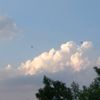 no_ar38