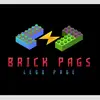 _brick.pags_