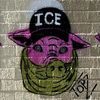 iceagentspeakedinhs