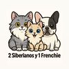 2siberianosy1frenchie