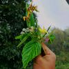 dipeshshrestha..22