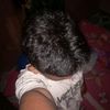 amat_stecu