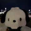 spvinn