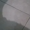 xoxobobo98