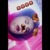 asensita_