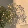 lili_roller