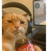 im_marko2