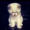 limabelassep_29