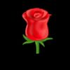 aswanhassan2