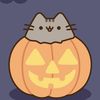 pusheen993