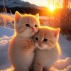 mohamedsayed4228