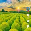 ranee.adae
