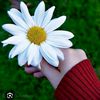x.nese27