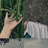unung_29
