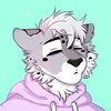 shilo_the_snep