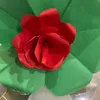 antonella9329