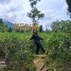 renyaudiomusik.rc