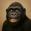 humour_ia100