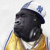 monkeyman3170