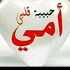 user8795901297581