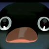 .penguin_707