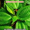 kantinbarokahalhi