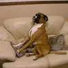 www.tictok.com.ty