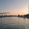 auroraa_lovric