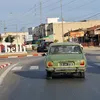 anise1991