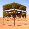 tahirabd84