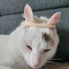 kaczuszekwzoo0