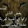 user83to858zkb