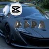 carparkingplayer100