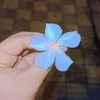 roqaya.ahmed11