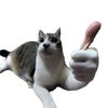 lilgamer216