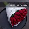asmaaalmourshed40