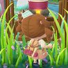 nibear1416