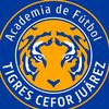 academiatigresfilial