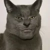 AE_Zoukho