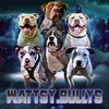 wattsybullys