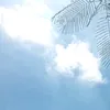 funnyman_2much