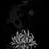 moon_and_rain_5