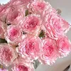 th.hng.phm39